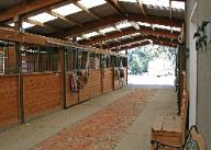Historic Nelson Ranch Boarding & Horseback Riding Lessons