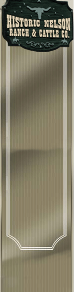 Horse Boarding Riding Lessons Davis Sacramento Woodland