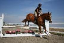 horse jumping riding lessons jumpers grand prix dressage Englsih riding arena